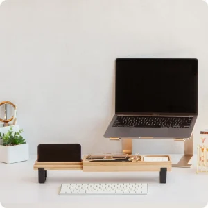 Adjustable Metal Laptop Riser Stand Gold